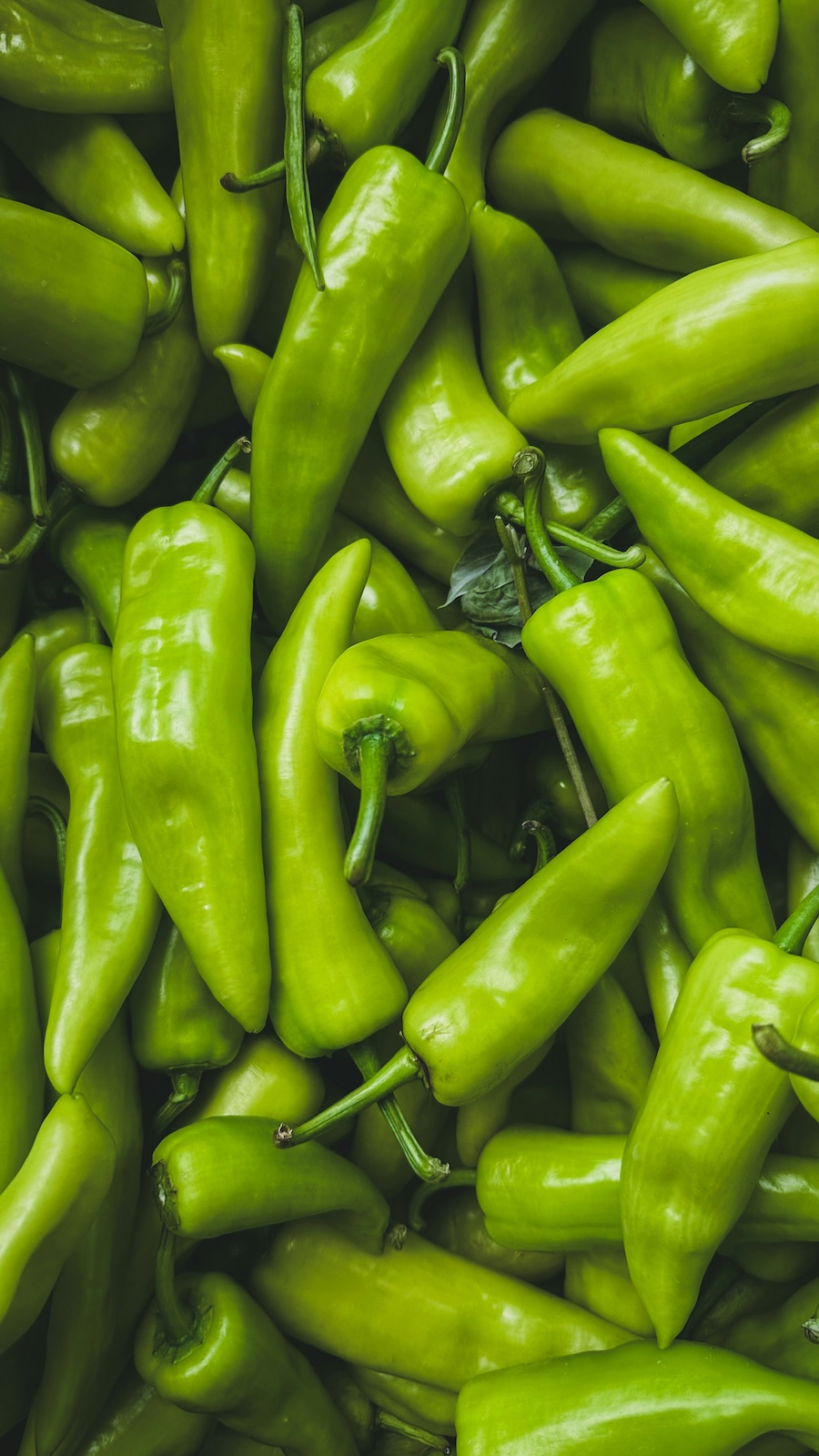 best green chile in denver colorado