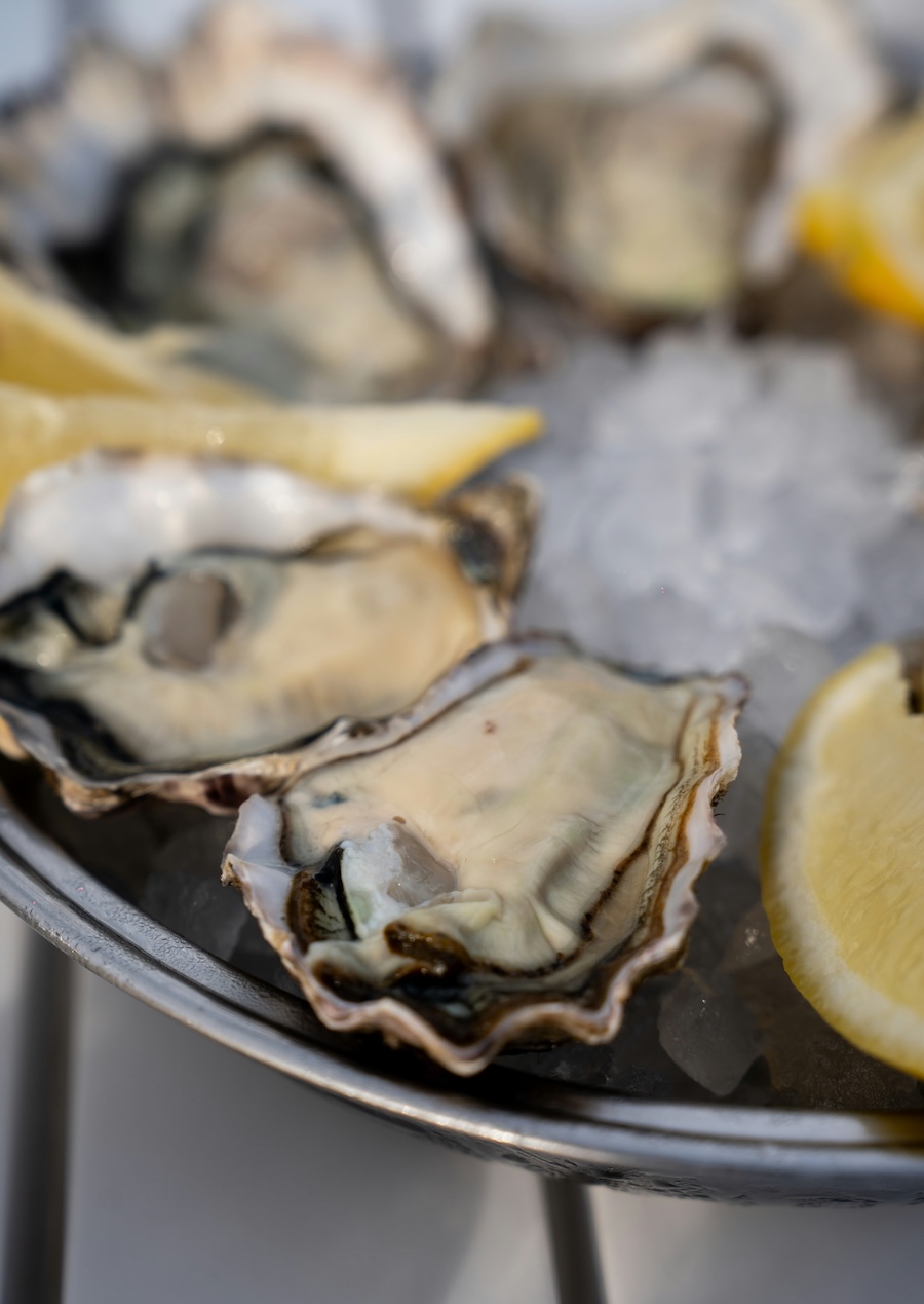 freshly shucked oysters on ice